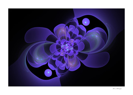 Beautiful abstract fractal flower