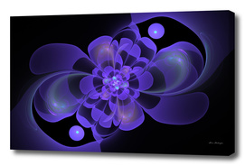Beautiful abstract fractal flower