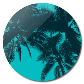 Palms in summer, blue