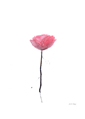 Splatter Poppy Flower