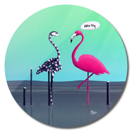 Nice Try, Flamingo!