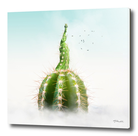 Cactus NY