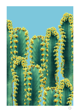 Adorned Cactus-v2