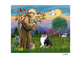 Saint Francis Blesses a Tri Colored Collie