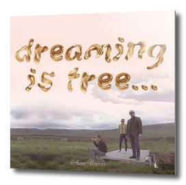 Dreaming is free T2