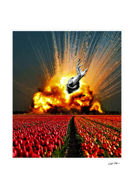 Tulip Apocalypse