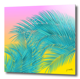 Summer Palm Leaves