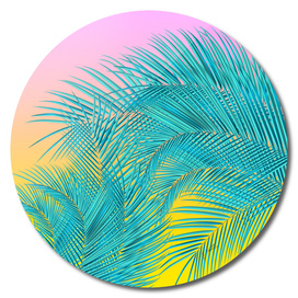 Summer Palm Leaves