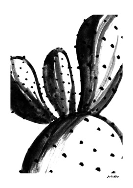 Black and White Cacti