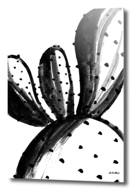 Black and White Cacti