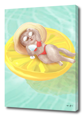 Cat Floating On Lemon Pool Float