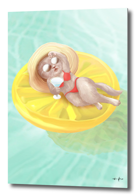 Cat Floating On Lemon Pool Float