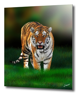 Wild Tiger on Green