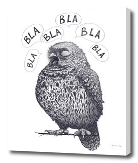 Owl bla bla bla