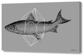 Fish in Geometrics