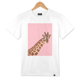 Giraffe Series 4