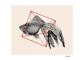 Fish in Geometrics III