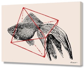 Fish in Geometrics III