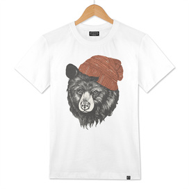 zissou the bear