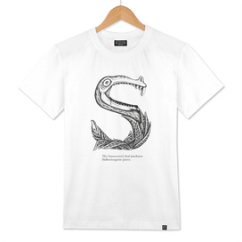 S is for Sanseverra