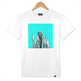Majestic Cactus