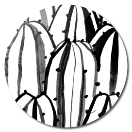 Black and White Cactus