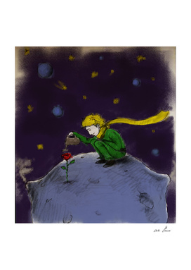 Little prince and the rose