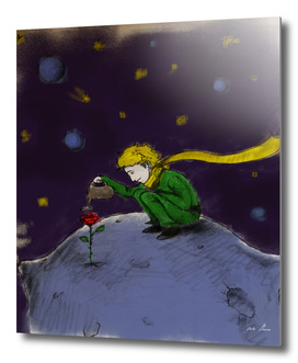 Little prince and the rose