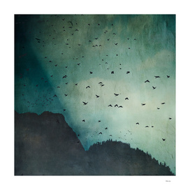 eXodus - a sky full of birds
