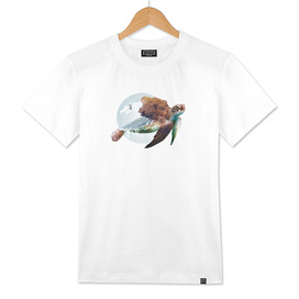 Turtle t-shirts