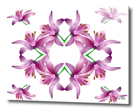 Abstract flowers vector art