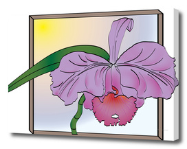 Purple Cattleya Orchid with "Window"