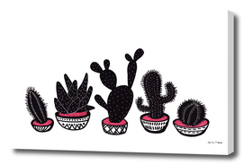 cactus row