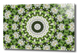 Green and White Rhododendron Mandala