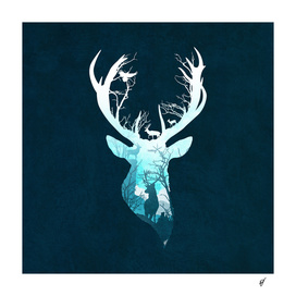 Deer Blue Winter