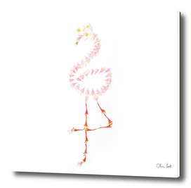 Delicate flamingo