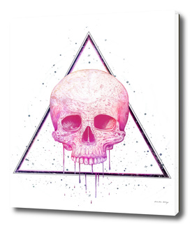 Skull in triangle