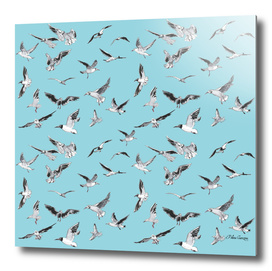 seagull blue pattern