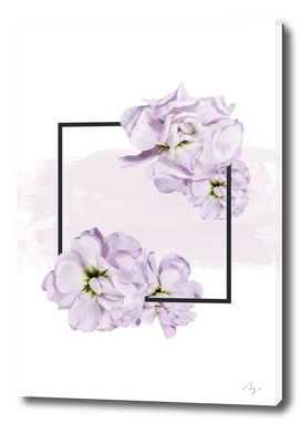 Framed Lilac on Pink Brush Strokes