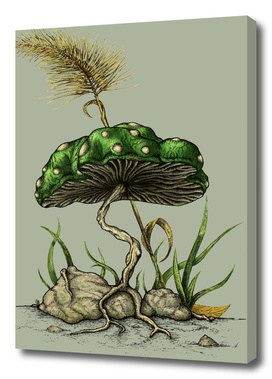1-Up Mushroom