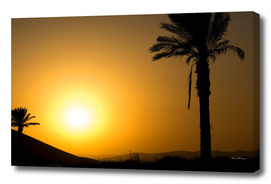 Golden Andalusian sunset with silhouette palm trees