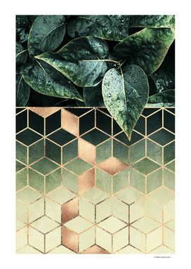 Leaves and Cubes 2