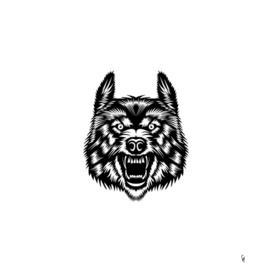 wolf wild