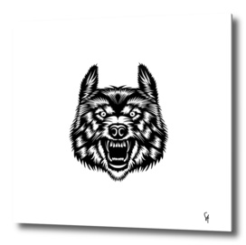 wolf wild