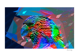 Rainbow Parrot