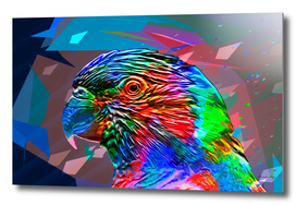 Rainbow Parrot