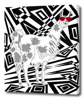 Llama In Red Sunglasses Abstract