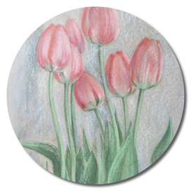 PINK TULIPS