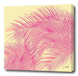 Palm Leaves, Pink