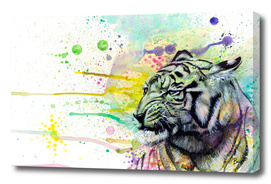 Color Splash Tiger